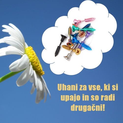 Uhani iz nerjavečega jekla VIJAK - slika 14