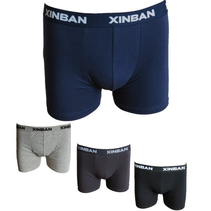 XINBAN VSE